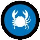 Crustaceans