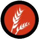 Gluten